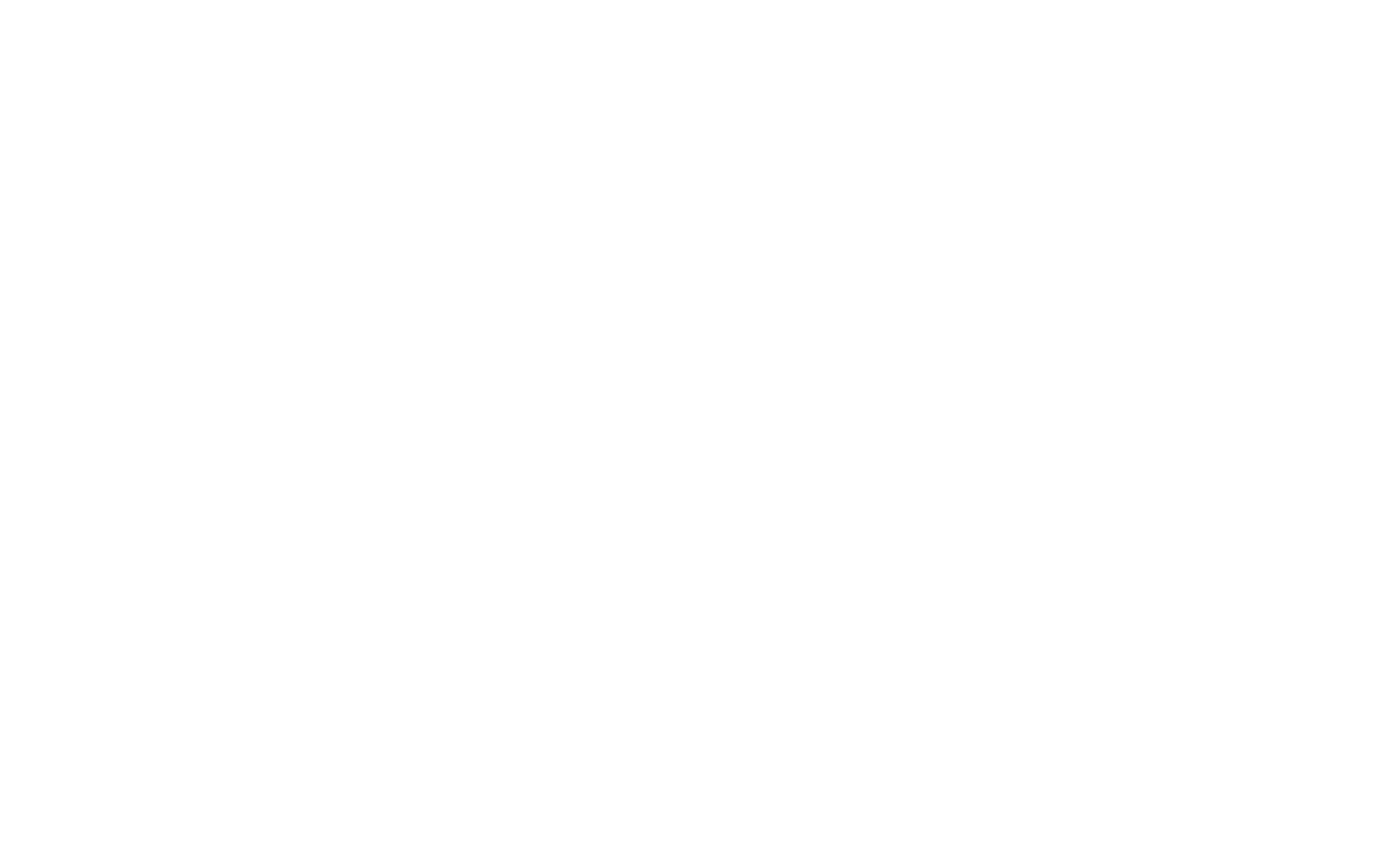 FINEST PREMIUM SPAIN TROUT