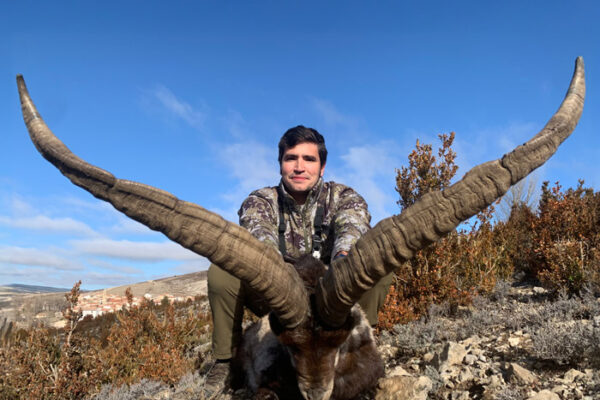 beceite ibex hunting