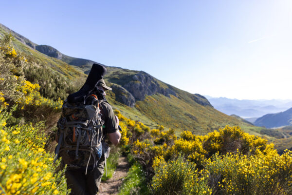hunting adventure cantabrian chamois hunt