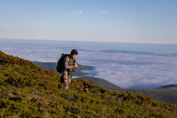 hunting adventure hunt cantabrian chamois