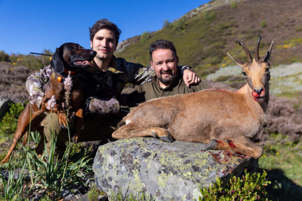 hunting experience hunting cantabrian chamois