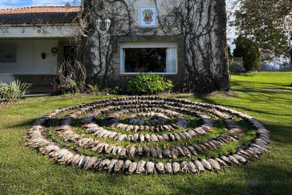 best duck hunting areas in spain