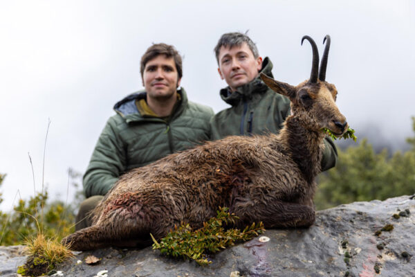 family hunting trip in spain pyrenean chamois hunt