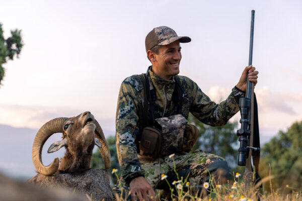 guided mouflon hunts in spain