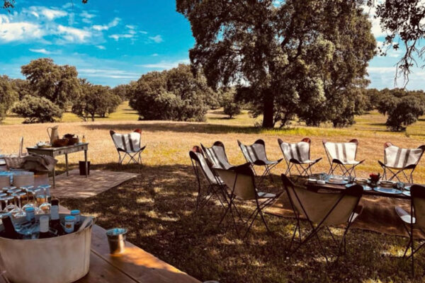 hotel valdepalacios accommodation hunting wild boar