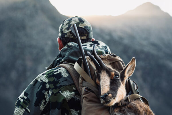 hunt in spain cantabrian chamois hunting