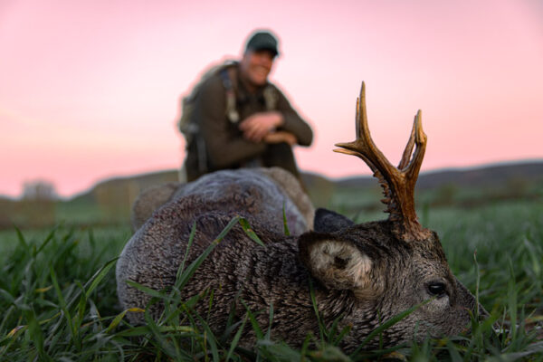 hunting excursion in spain hunt silver roe deer