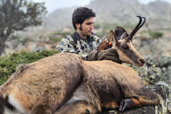 hunting experience in spain gold pyrenean chamois