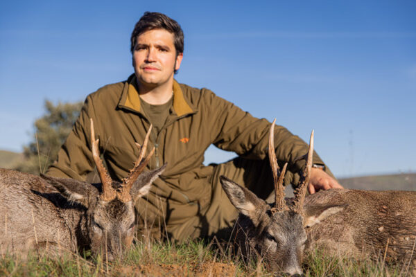 hunting trips in spaun hunts gold roe deer