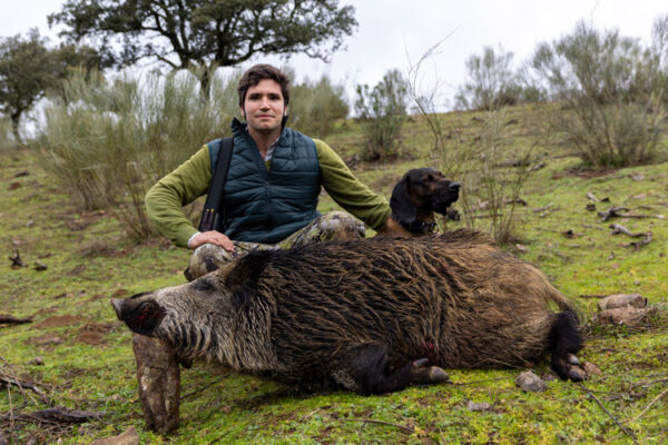 hunting wild boar driven hunts in spain