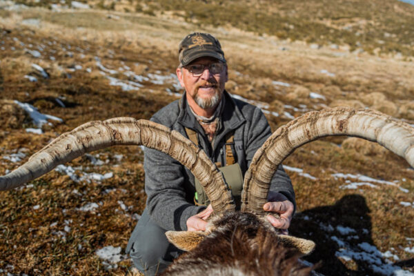 prices gredox ibex hunts