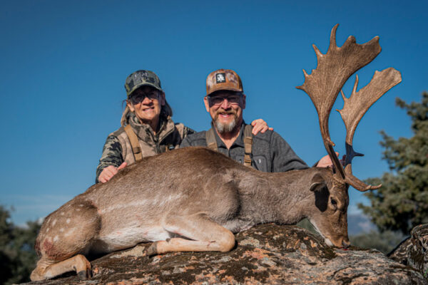 hunting fallow deer in spain
