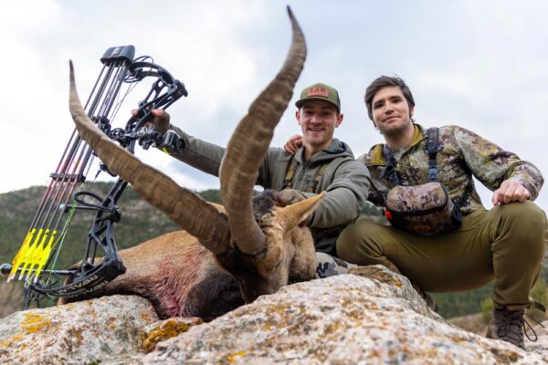 beceite-ibex-hunt