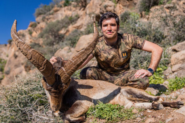 gold-ronda-ibex-hunting-ibex-in-spain