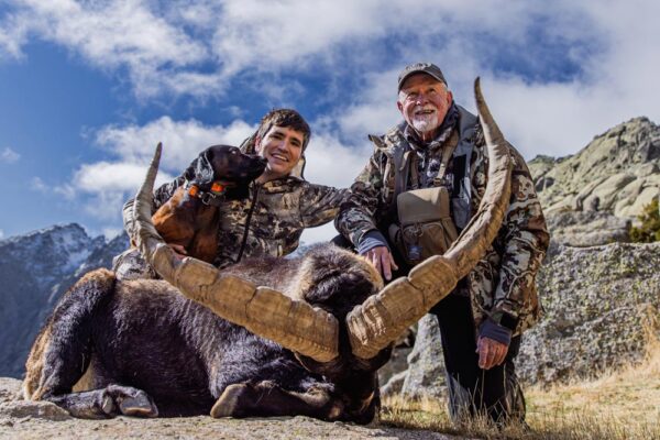 gredos-ibex-hunt-in-spain