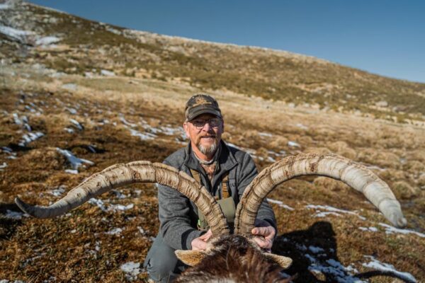 gredos-ibex-hunting-in-spain
