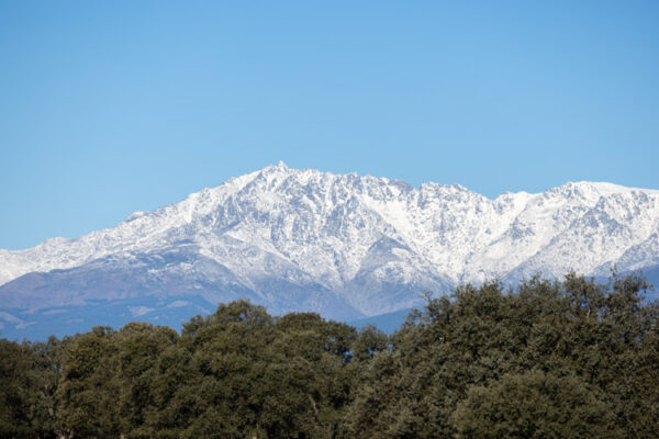 hunting-trip-in-spain