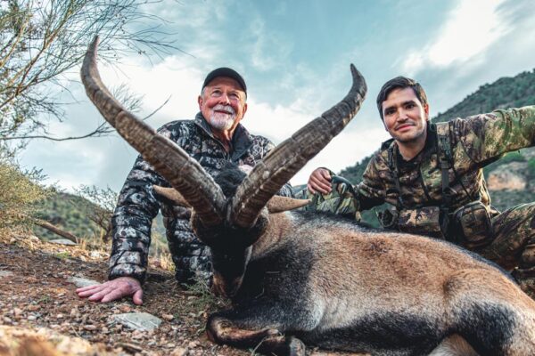 southeastern-ibex-hunt-in-spain